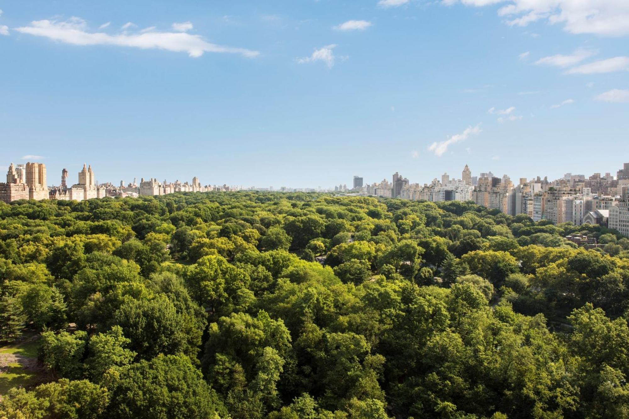 The Ritz-Carlton New York, Central Park المظهر الخارجي الصورة